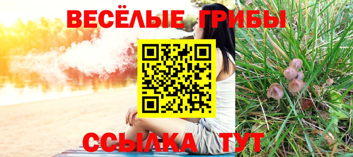 Псилоцибиновые грибы Magic Shrooms  наркотики  Нягань  Вход с VPN  Галлюциногенные грибы Psilocybine cubensis 